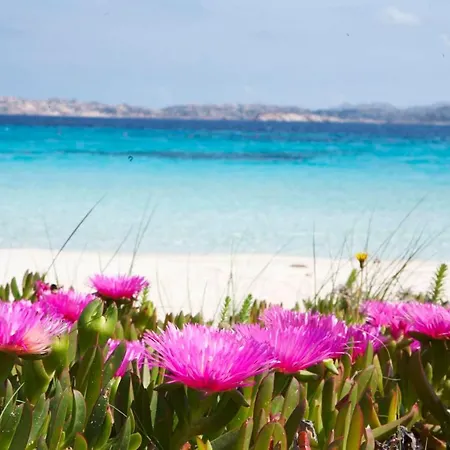 Leone Flat V 15' Palau, 30' Porto Cervo & Private Garden פורטו פוצו